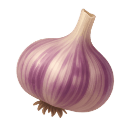 Purple garlic