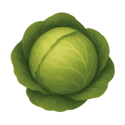 Cabbage