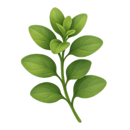 Marjoram