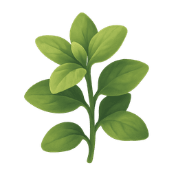 Oregano