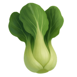 Pak choi