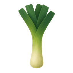 Leek
