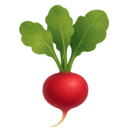 Radish