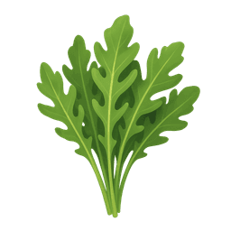 Arugula